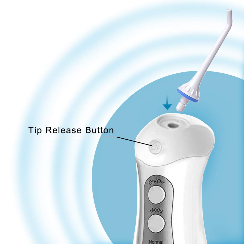 Water Flosser Replacement Jet TipsZerhunt